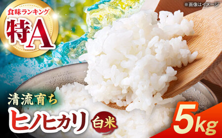 【先行予約】 令和8年度産 ヒノヒカリ 白米 5kg 【奥村果実園】[ZFK009]