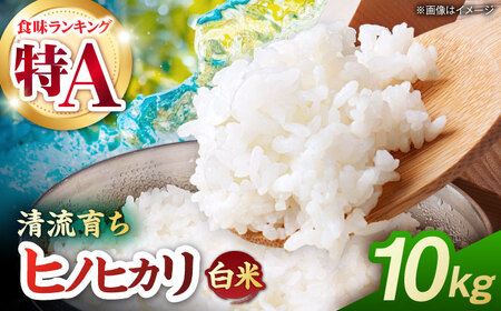 【先行予約】 令和8年度産 白米 ヒノヒカリ 10kg 【奥村果実園】 熊本 [ZFK010]