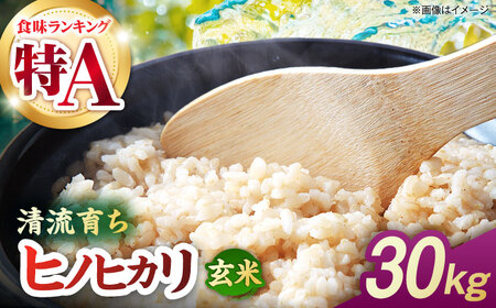 【先行予約】 令和8年度産 ヒノヒカリ 玄米 30kg 【奥村果実園】[ZFK011]