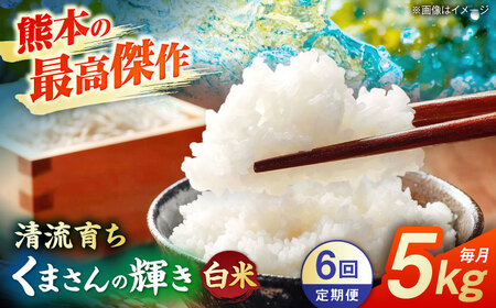 【先行予約】【6回定期便】くまさんの輝き 白米  5kg 山鹿市産 【奥村果実園】[ZFK020]