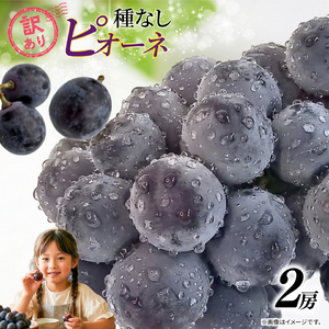 訳あり ピオーネ 2房 計 900g 以上 ぶどう 数量限定 種なし ぶどう