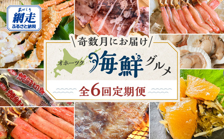 【発送月固定定期便】オホーツク海鮮グルメ定期便 奇数月にお届け全6回 ABAO127