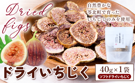 天草 ソフト ドライいちじく 40g × 1袋 もり農園《30日以内に出荷予定(土日祝除く)》熊本県 苓北町 ドライいちじく ドライフルーツ 乾燥 果物 南蛮柿 製菓 熊本 苓北