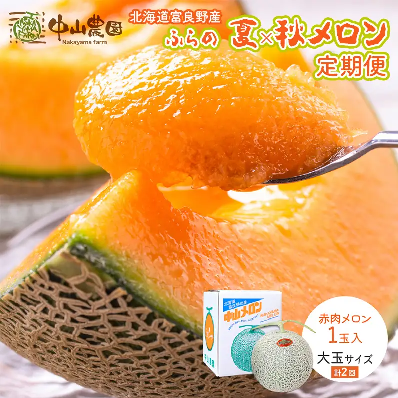 【2026年7～9月 全2回】計2回 ふらの 夏× 秋メロン 定期便 ≪計2玉≫ 北海道 富良野市 (中山農園) メロン フルーツ 果物 