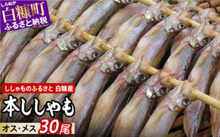 【ふるなび限定】しらぬか産 本ししゃも 30尾 オスメス 各15尾 ししゃも シシャモ 子持ちししゃも 卵 魚卵 魚 魚介 国産 北海道 北海道産 ふるさと納税_A021-1026