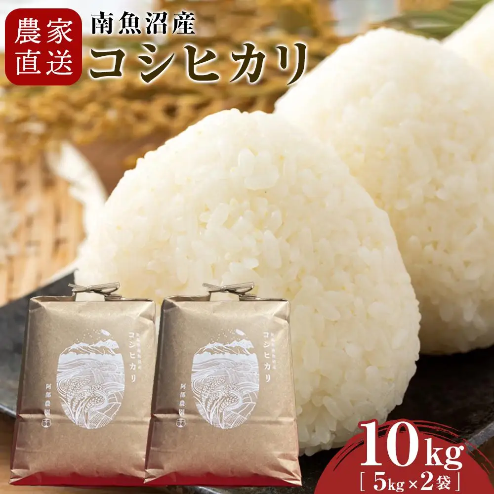 【令和7年産】農家直送　南魚沼産コシヒカリ　10kg(5kg×2袋）【2026年3月上旬より順次発送予定】【銘柄米 ブランド米 精米 こしひかり コシヒカリ 魚沼産 新潟米 産地直送 お米 米 こめ コメ ご飯 御飯 ごはん】