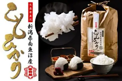 【令和7年産】【精米】自然農法/化学肥料不使用の南魚沼産こしひかり5kg　| こしひかり