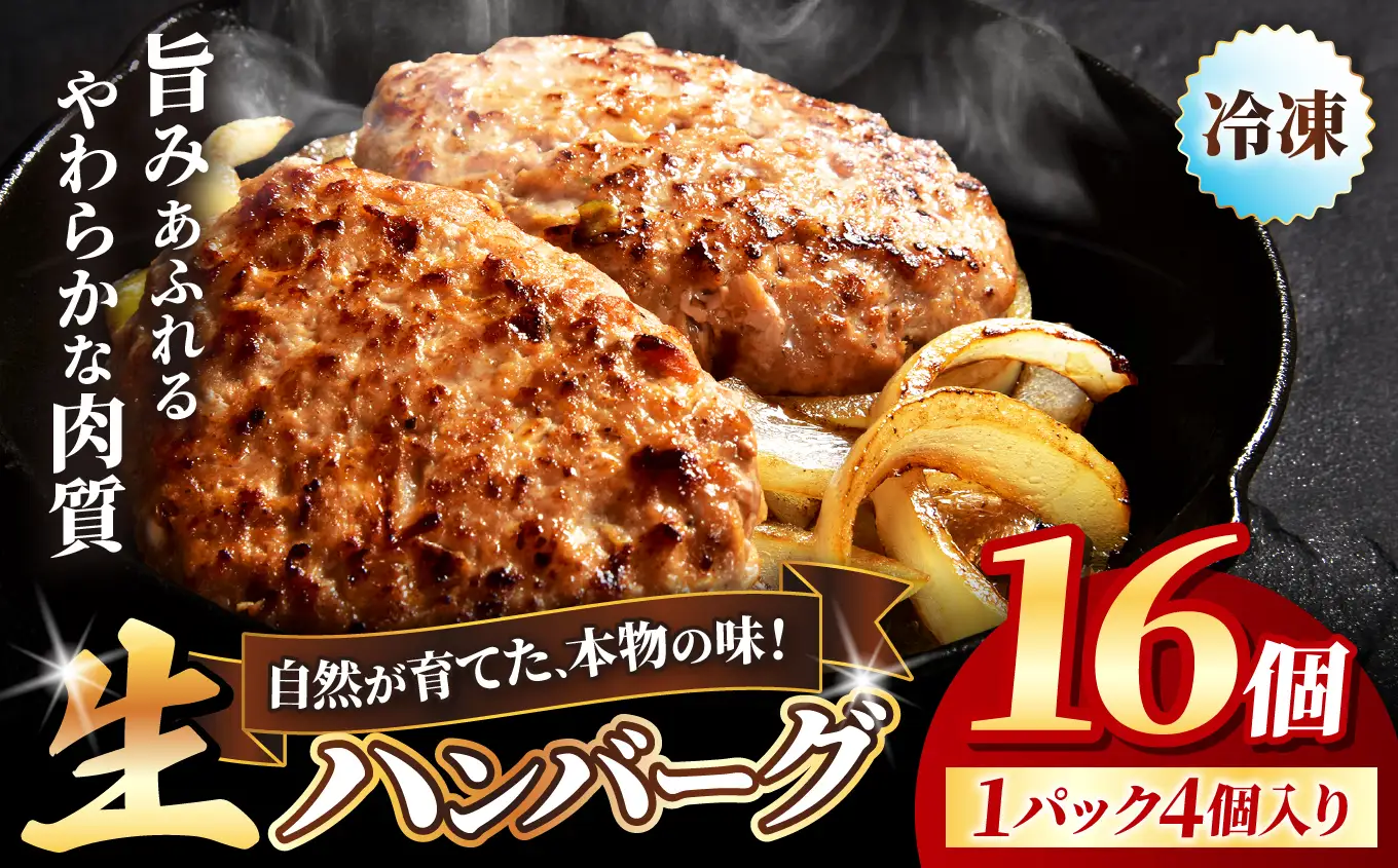 冷凍 ハンバーグ 生16個入り ( 4パック ) | お肉 肉 豚肉 白豚 お惣菜 惣菜 おかず 簡単調理 国産 九州産 大分県産 大分県 中津市