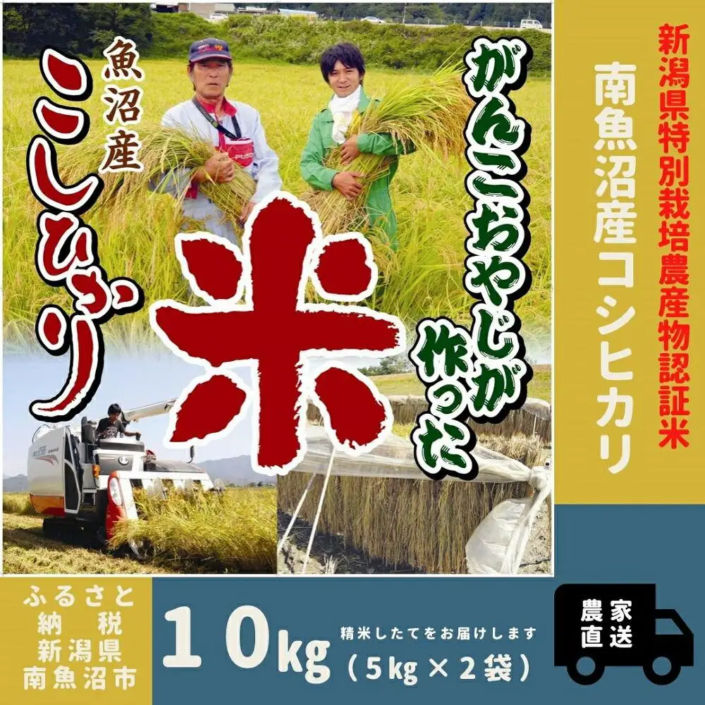 【令和7年産】特別栽培米　がんこおやじが作った南魚沼産コシヒカリ 白米１０kg（５kg×２袋）【銘柄米 ブランド米 精米 こしひかり コシヒカリ 魚沼産 新潟米 産地直送 お米 米 こめ コメ ご飯 御飯 ごはん】