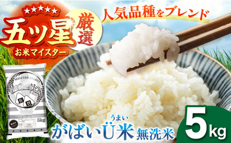 がばいU米（うまい）【無洗米】 5kg 【大塚米穀店】[HBL118]