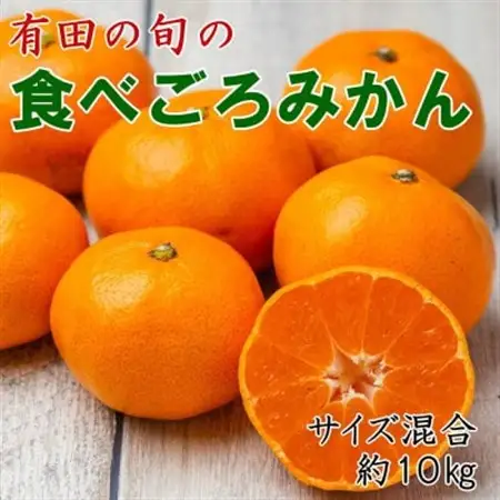 「農園直送」有田の旬の食べごろみかん約10kg(サイズ混合)(日高町)【1717594】