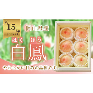 《2026年発送》岡山県産 桃 白鳳 1.5kg 5～7玉