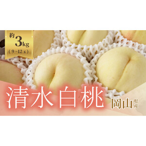 《2026年発送》岡山県産 清水白桃 約3kg 9～12玉