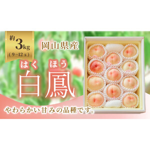 《2026年発送》岡山県産 桃 白鳳 約3kg 9～12玉