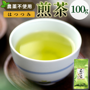 農薬不使用！煎茶 はつつみ 100g 常磐園 白川茶 美濃白川茶 日本茶 緑茶 煎茶 茶葉 お茶 一番茶 春摘み リーフ 国産 お試し 岐阜県 東白川村 走り新茶