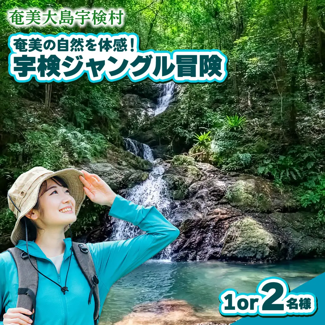 宇検ジャングル冒険 1・2名様 奄美大島 宇検村 鹿児島県 旅行 自然 冒険 完全プライベート