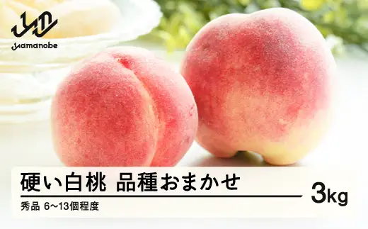 《先行予約》山形県産 かための白桃 秀品 約3kg (6～13個程度) 2026年8月中旬～9月上旬頃発送予定 山形県産 送料無料 nf-mokhs3