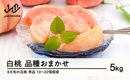 《先行予約》もも 桃 品種おまかせ 白桃 秀品 約5kg (10～22個程度) 8月旬の白桃 山形県産 2026年8月上旬～8月中旬順次発送予定 送料無料 nf-mohtx5-8f
