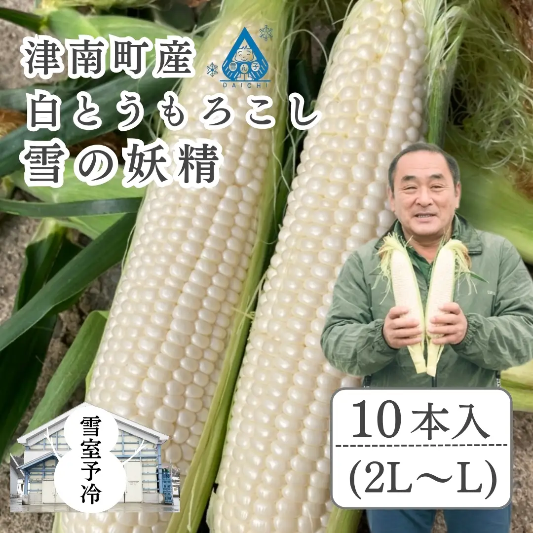 白とうもろこし 雪の妖精 2L?L 10本入 雪室予冷 | 津南町 スイートコーン