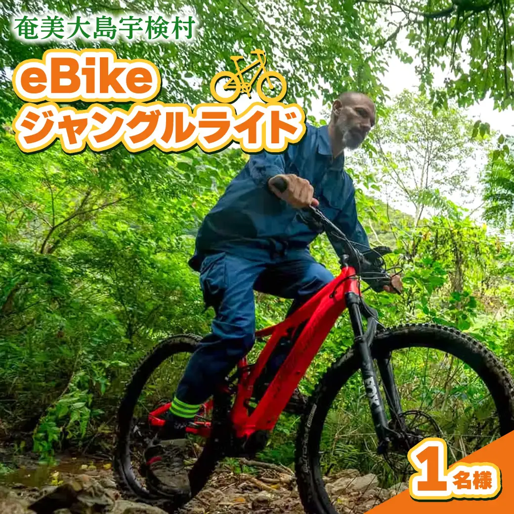 eBikeジャングルライド 1名様 奄美大島 宇検村 鹿児島県 旅行 自然 冒険 完全プライベート