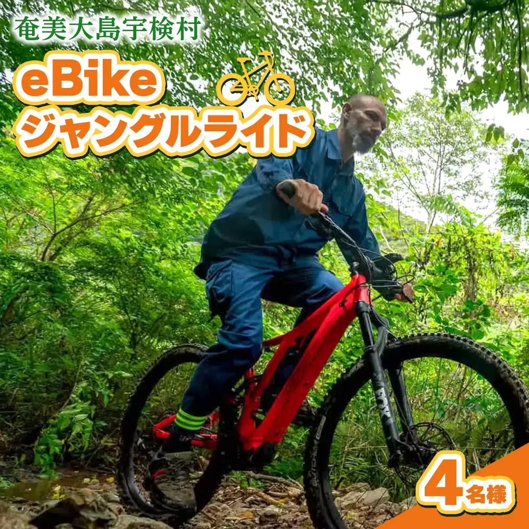 eBikeジャングルライド 4名様 奄美大島 宇検村 鹿児島県 旅行 自然 冒険 完全プライベート