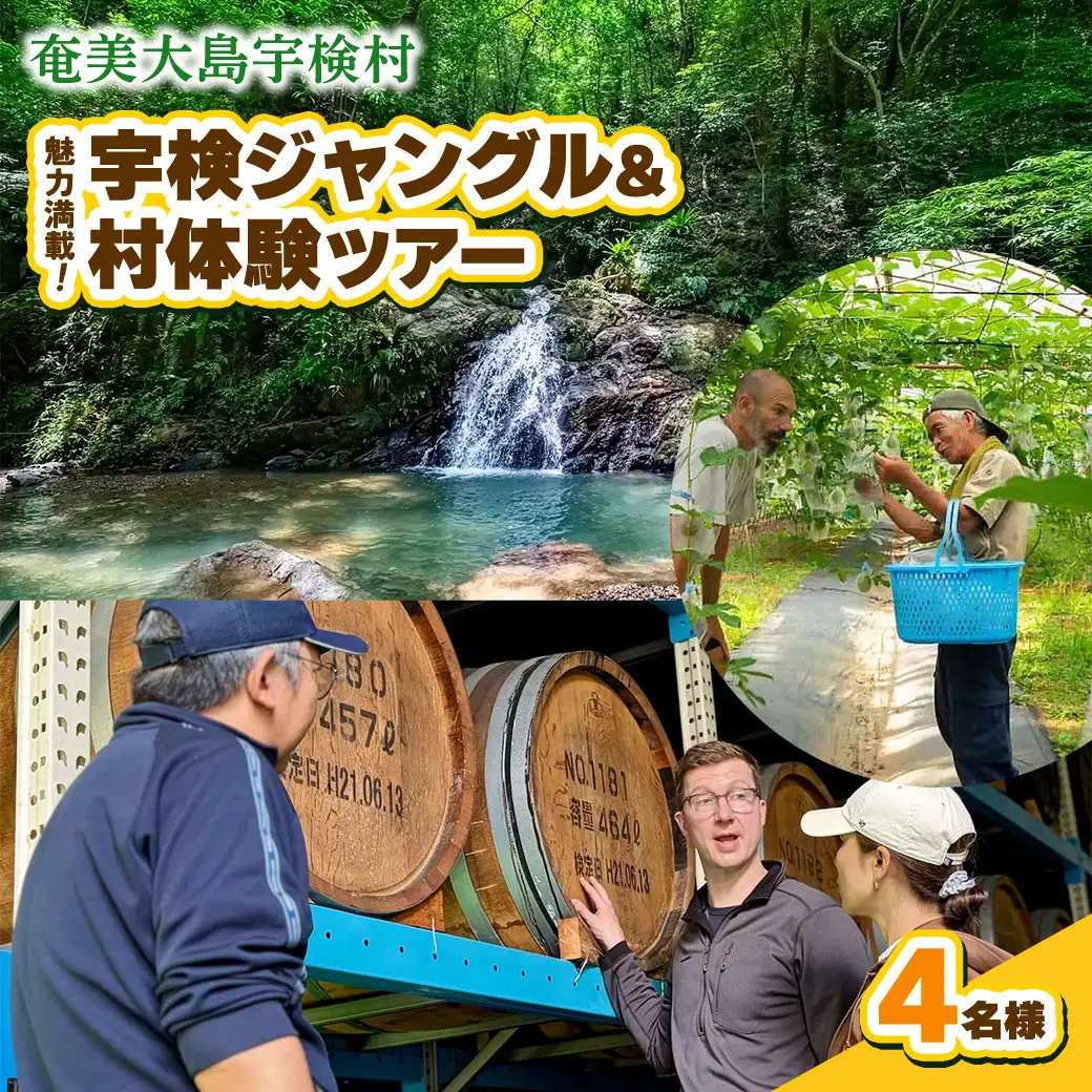 宇検村ジャングル＆村体験ツアー 4名様 奄美大島 宇検村 鹿児島県 旅行 自然 冒険 完全プライベート