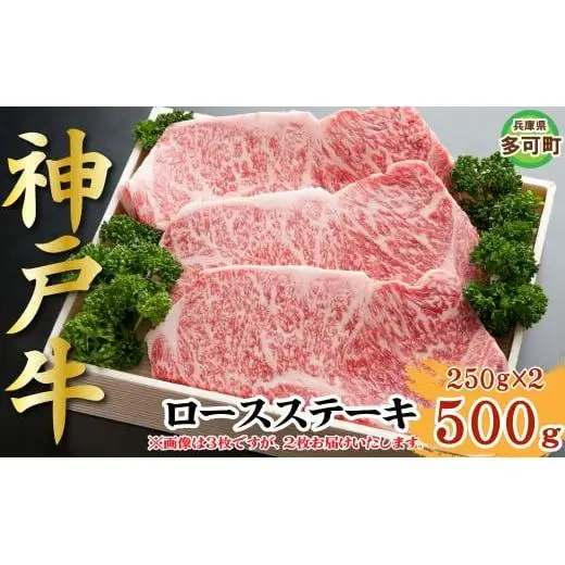 神戸牛 ロースステーキ 500g TKST5 [1212]