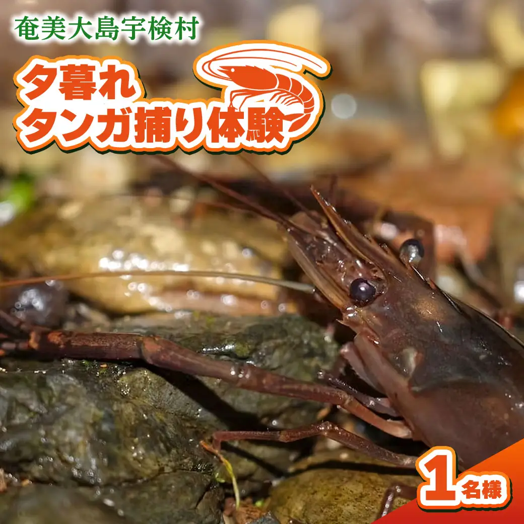 夕暮れタンガ捕り 体験 1名様 奄美大島 宇検村 鹿児島県 旅行 自然 冒険 完全プライベート