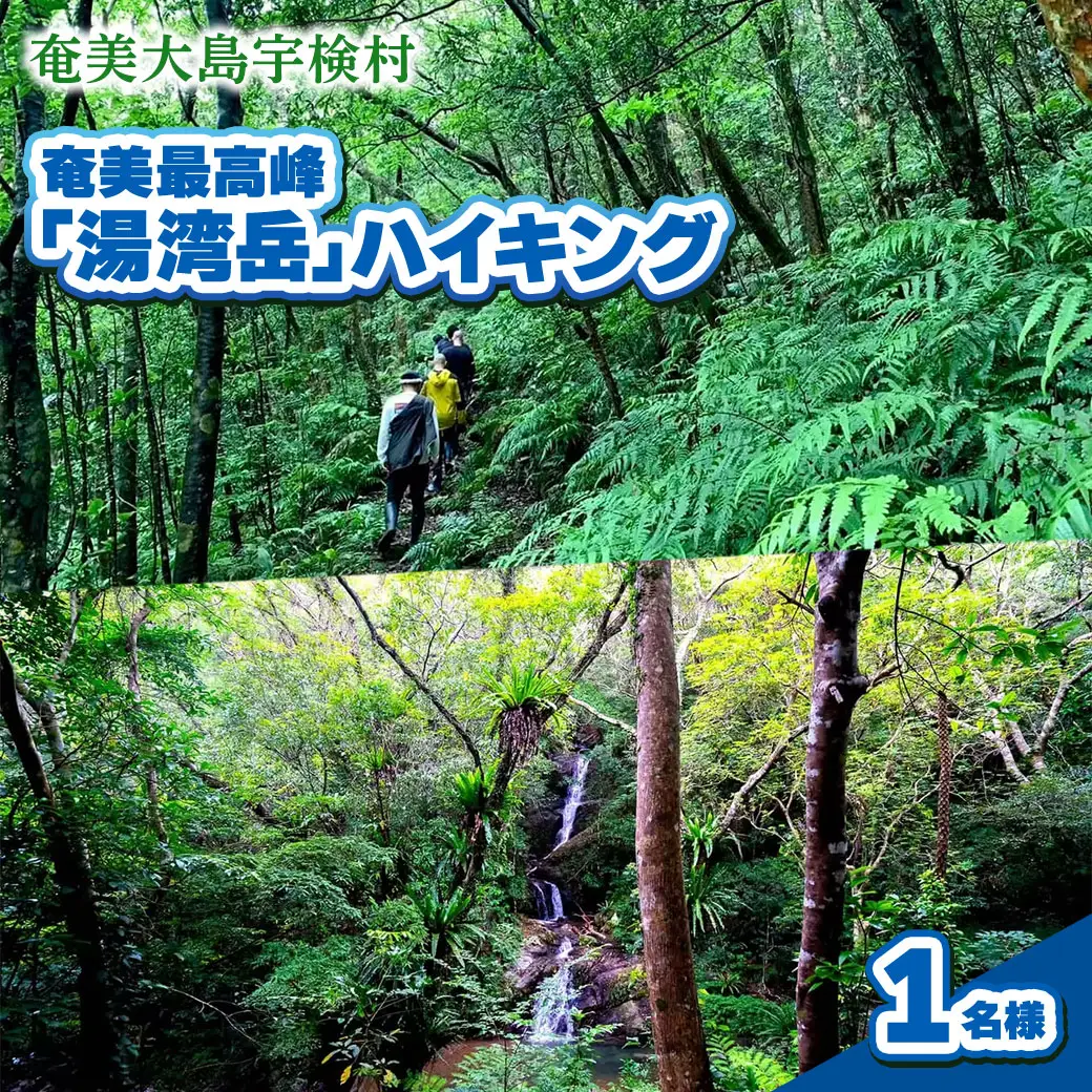 奄美最高峰「湯湾岳」ハイキング 体験 1名様 奄美大島 宇検村 鹿児島県 旅行 自然 冒険 完全プライベート