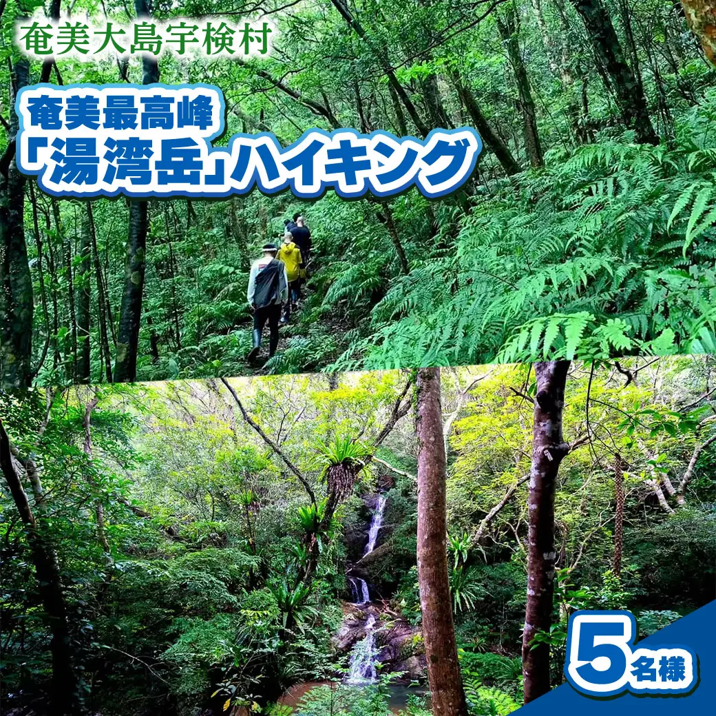 奄美最高峰「湯湾岳」ハイキング 体験 5名様 奄美大島 宇検村 鹿児島県 旅行 自然 冒険 完全プライベート