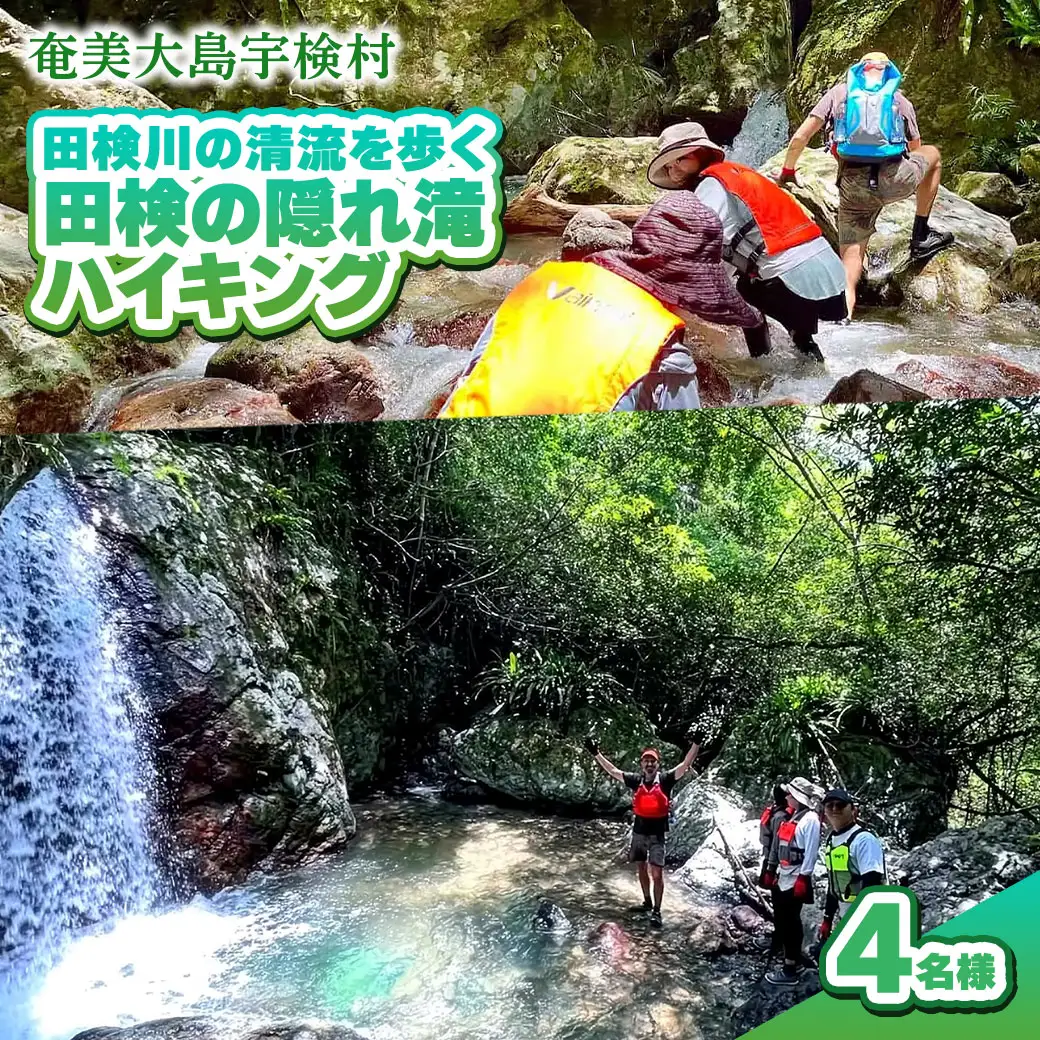 【ツアー可能期間：4月～10月】田検の隠れ滝ハイキング 体験 4名様 奄美大島 宇検村 鹿児島県 旅行 自然 冒険 完全プライベート