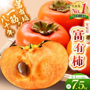 富有柿〈家庭用〉 約7.5kg（S～Lサイズ混載） |  先行予約 大人気 人気 富有 柿 かき フルーツ 果物 辰巳果樹園 ギフト おすすめ 10月 11月 発送 カキ 秋の味覚 旬 甘い 大容量 農家直送 産地直送 グルメ お取り寄せ 送料無料  食物繊維 豊富 美容 健康 | 奈良県 五條市