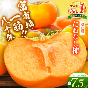 たねなし柿〈家庭用〉 約7.5kg（S～Lサイズ混載） |  先行予約 大人気 人気 たねなし 柿 かき フルーツ 果物 辰巳果樹園 ギフト おすすめ カキ 秋の味覚 旬 甘い 大容量 農家直送 産地直送 グルメ お取り寄せ 送料無料  食物繊維 豊富 美容 健康 | 奈良県 五條市