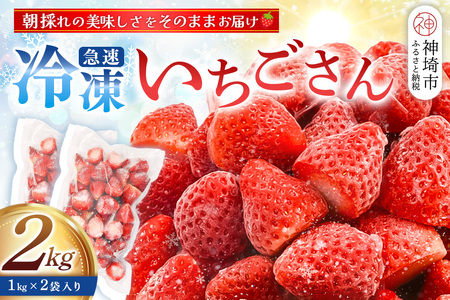 冷凍いちご 2kg(いちごさん)(H126102) | 佐賀県神埼市 | ふるさと納税