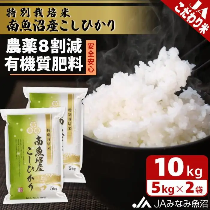 【令和7年産】特別栽培米南魚沼産こしひかり8割減 10kg 精米 ｜こしひかり