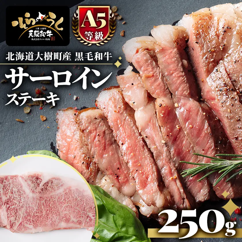 「天駆和牛(そらうし)」サーロイン ステーキ 250g A5 黒毛和牛 北海道十勝大樹町産【配送不可地域：離島】【1722135】