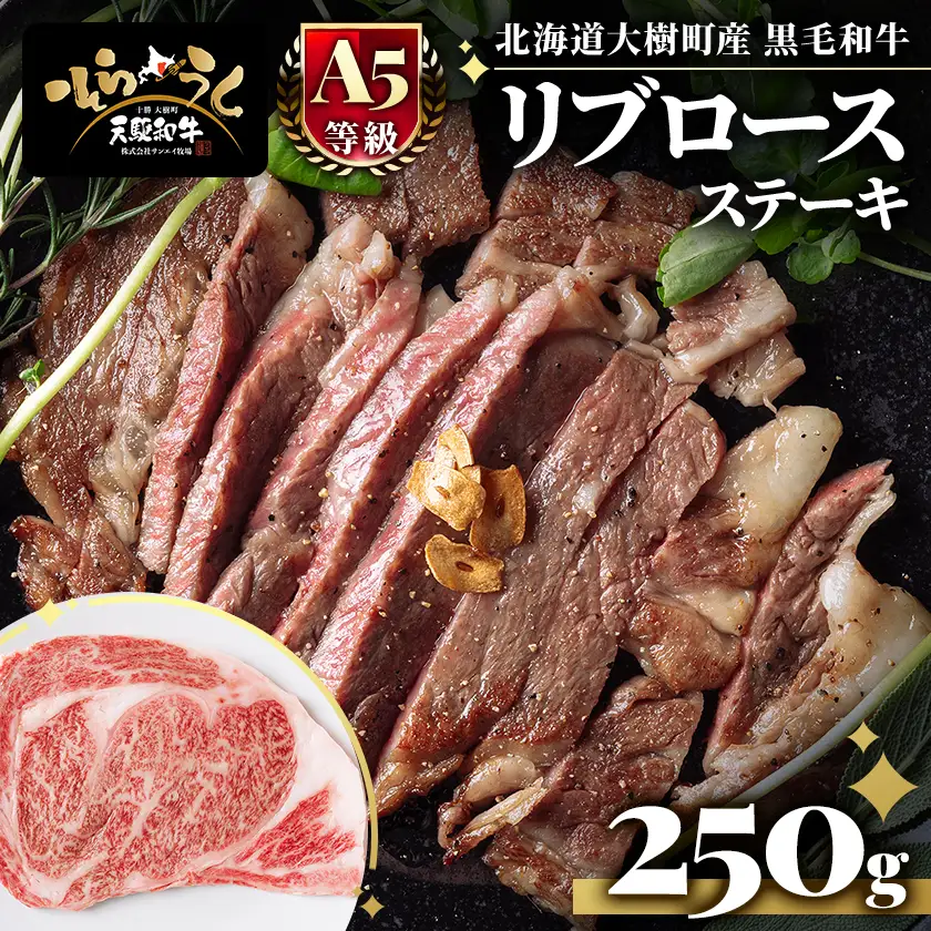 「天駆和牛(そらうし)」リブロース ステーキ 250g A5 黒毛和牛 北海道十勝大樹町産【配送不可地域：離島】【1722146】