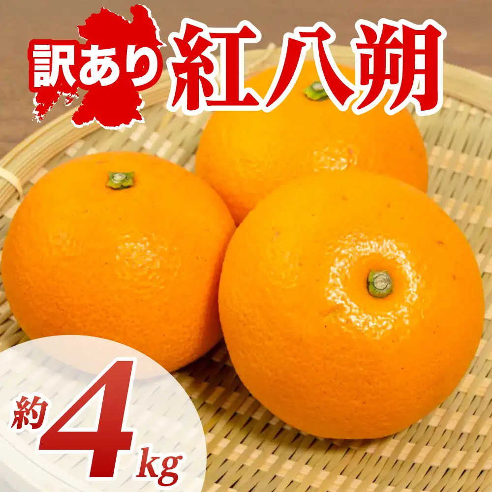 【先行予約】 【訳あり】 紅八朔 約4kg 八朔 はっさく ハッサク 柑橘 果物 くだもの フルーツ 熊本県 八代市 【2027年1月下旬より順次発送】