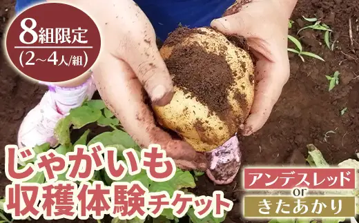 湧水町じゃがいも収穫体験チケット(1列分) 収穫 収穫体験 体験 チケット ジャガイモ 芋 招待券 レジャー 観光 旅行 お土産 おみやげ 持ち帰り 自然 農業体験【中津川ファーム】_y593