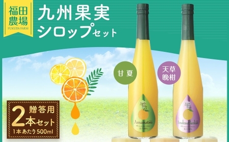 【 贈答用 】 九州果実シロップ 2本セット （ 甘夏 、 天草晩柑 ） 贈答品 プレゼント シロップ フルーツシロップセット フルーツシロップ フルーツ くだもの 果物 ギフト