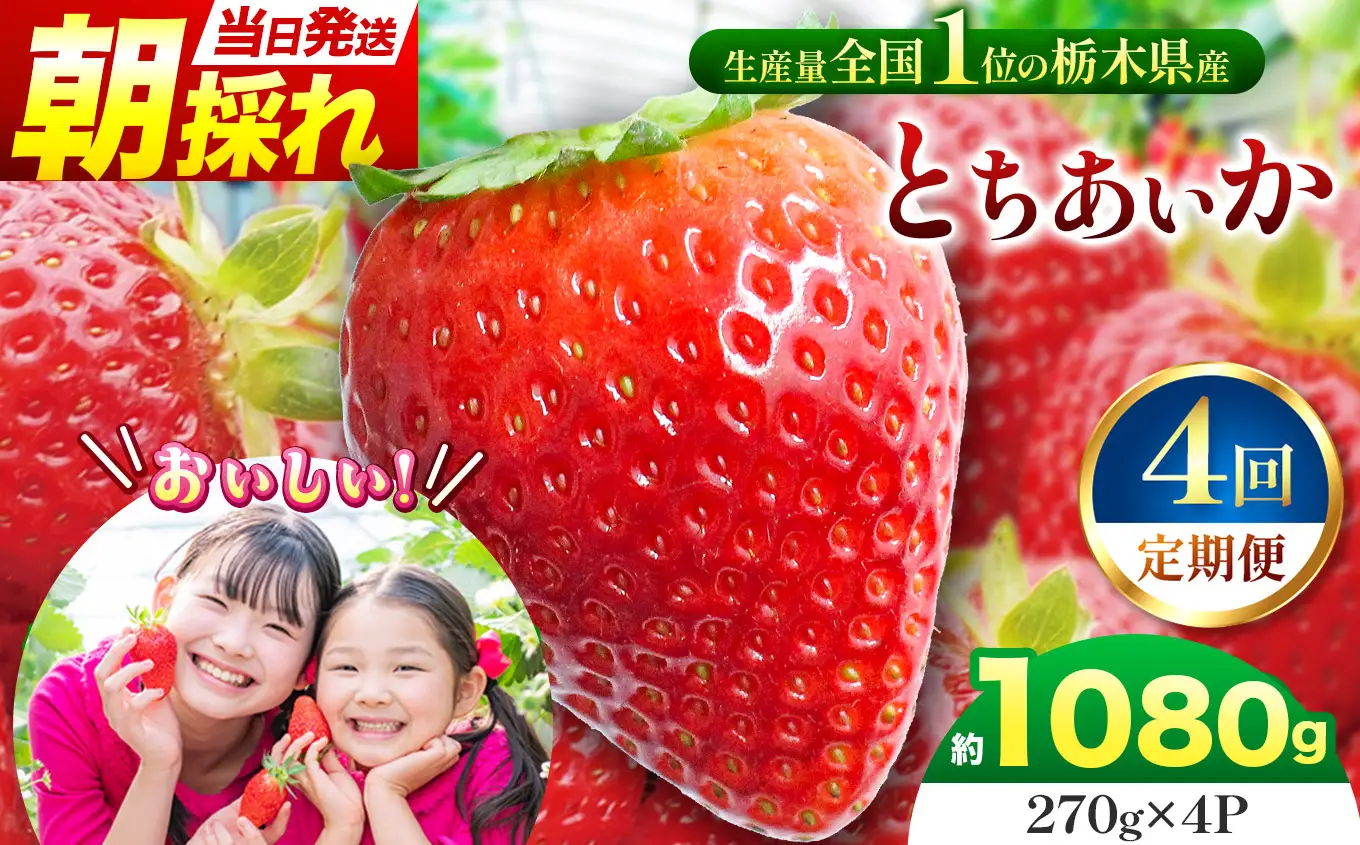【定期便4回】那珂川町産とちあいか　朝採れ当日発送 270ｇ×4Ｐ