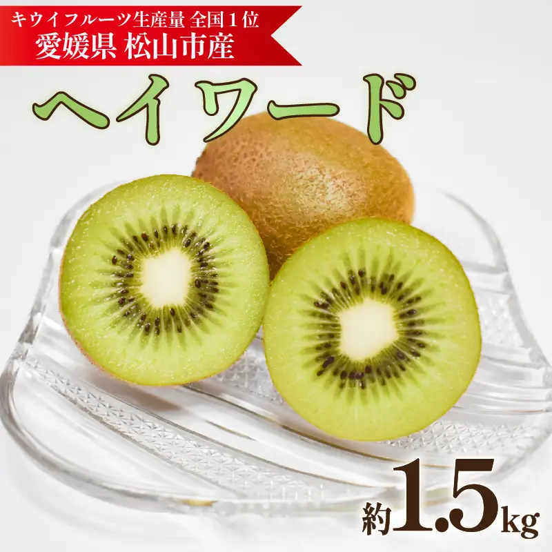 キウイフルーツ ヘイワード 約1.5kg【2026年11月上旬頃から順次発送】 |  キウイ グリーンキウイ ヘイワード キウイフルーツ フルーツ 果物 きうい くだもの デザート 産地直送 数量限定 国産 送料無料 愛媛県 松山市【KNN011】