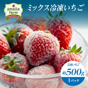 スマイルファーム ミックス冷凍いちご 約500g  FAF-0047