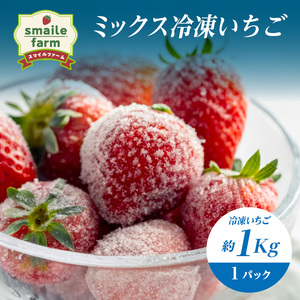 スマイルファーム ミックス冷凍いちご 約1kg  FAF-0048