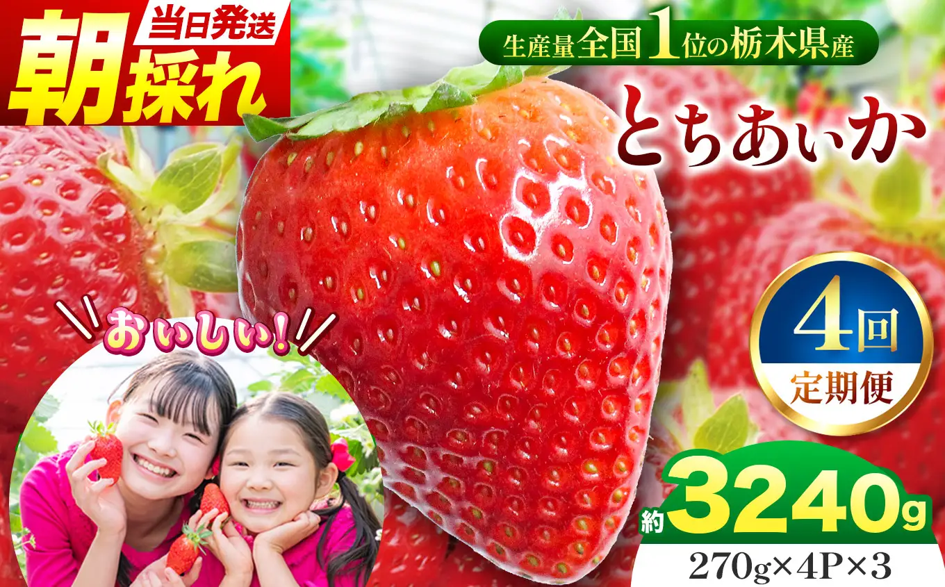 【定期便4回】那珂川町産とちあいか 朝採れ当日発送 270ｇ×4Ｐ×3