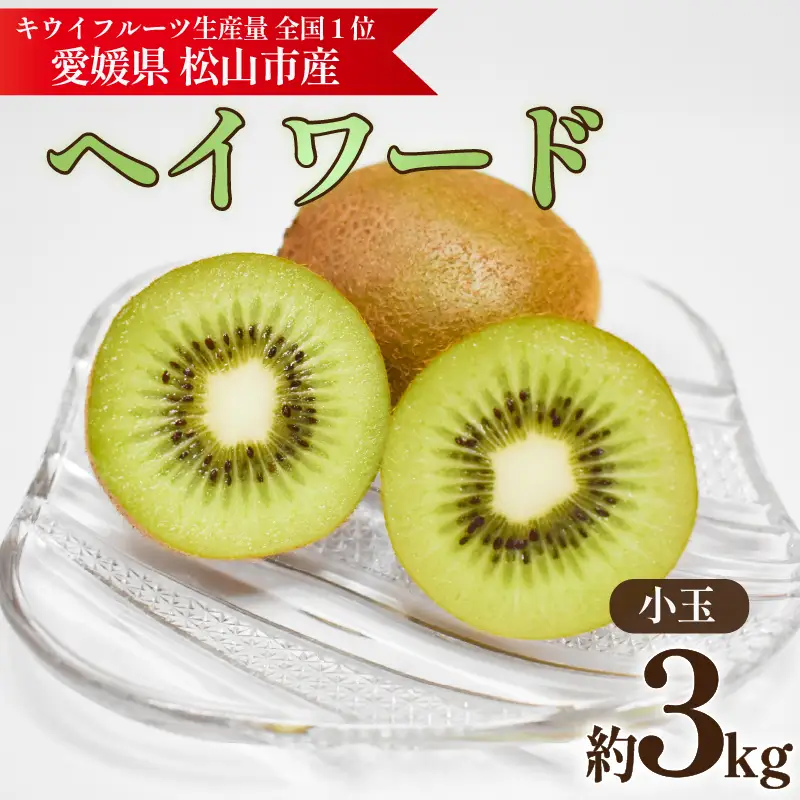 キウイフルーツ ヘイワード 【小玉】 約3kg 【2026年11月上旬頃から順次発送】 |  キウイ グリーンキウイ ヘイワード キウイフルーツ フルーツ 果物 きうい くだもの デザート 産地直送 数量限定 国産 送料無料 愛媛県 松山市【KNN014】