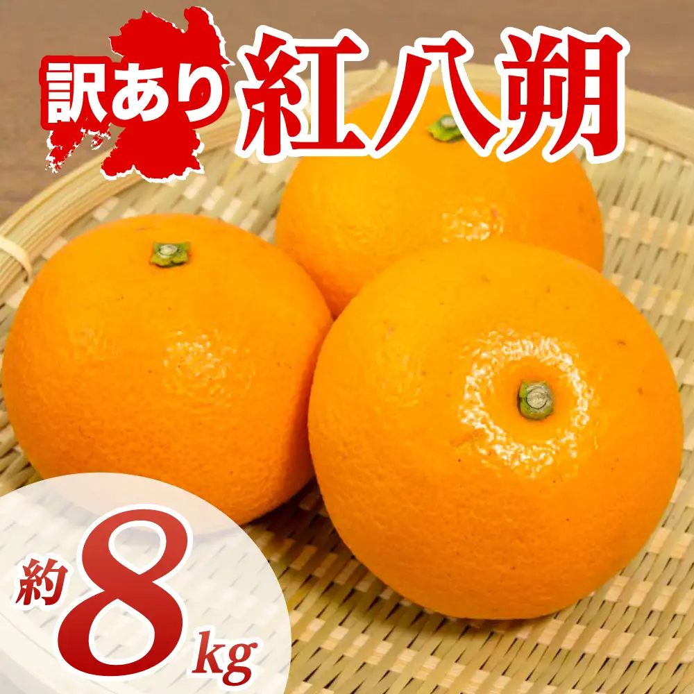 【先行予約】 【訳あり】 紅八朔 約8kg 八朔 はっさく ハッサク 柑橘 果物 くだもの フルーツ 熊本県 八代市 【2027年1月下旬より順次発送】