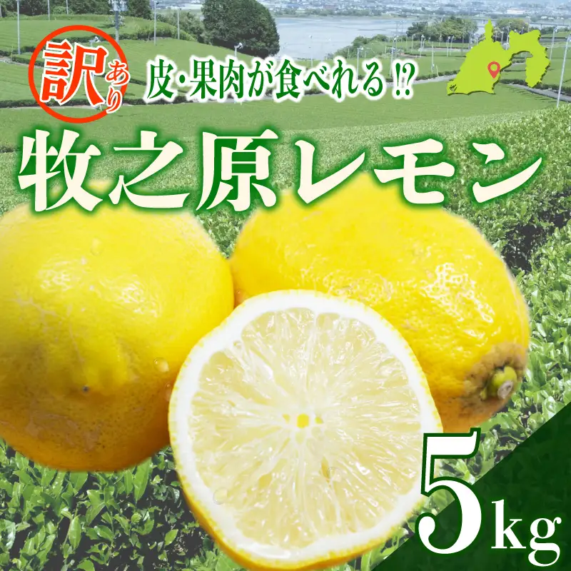 【訳あり 国産 レモン】レモン 5kg わけあり れもん 檸檬 牧之原市 タタラ商店