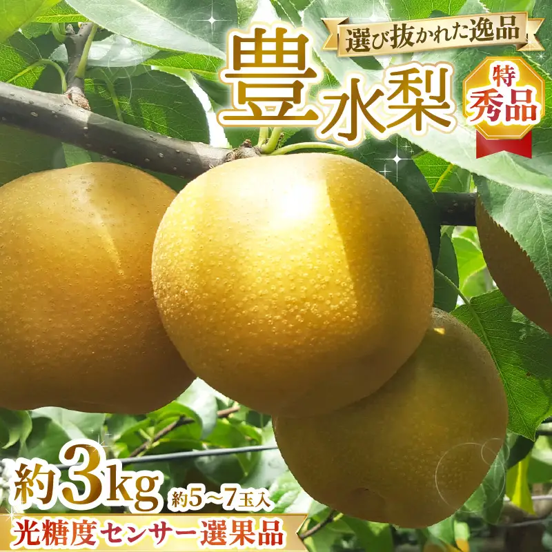 【先行予約】上野梨園の特選大玉 豊水梨『特秀品』選び抜かれた逸品 3kg 光糖度センサー選果品 梨園直送！ / 期間限定 果物 フルーツ 農家直送 シャキシャキ もぎたて 旬 お取り寄せ ※2026年9月上旬より順次発送 [aw077-a029]