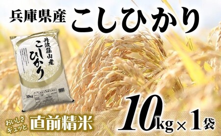 コシヒカリ 10kg 直前精米 コシヒカリ
